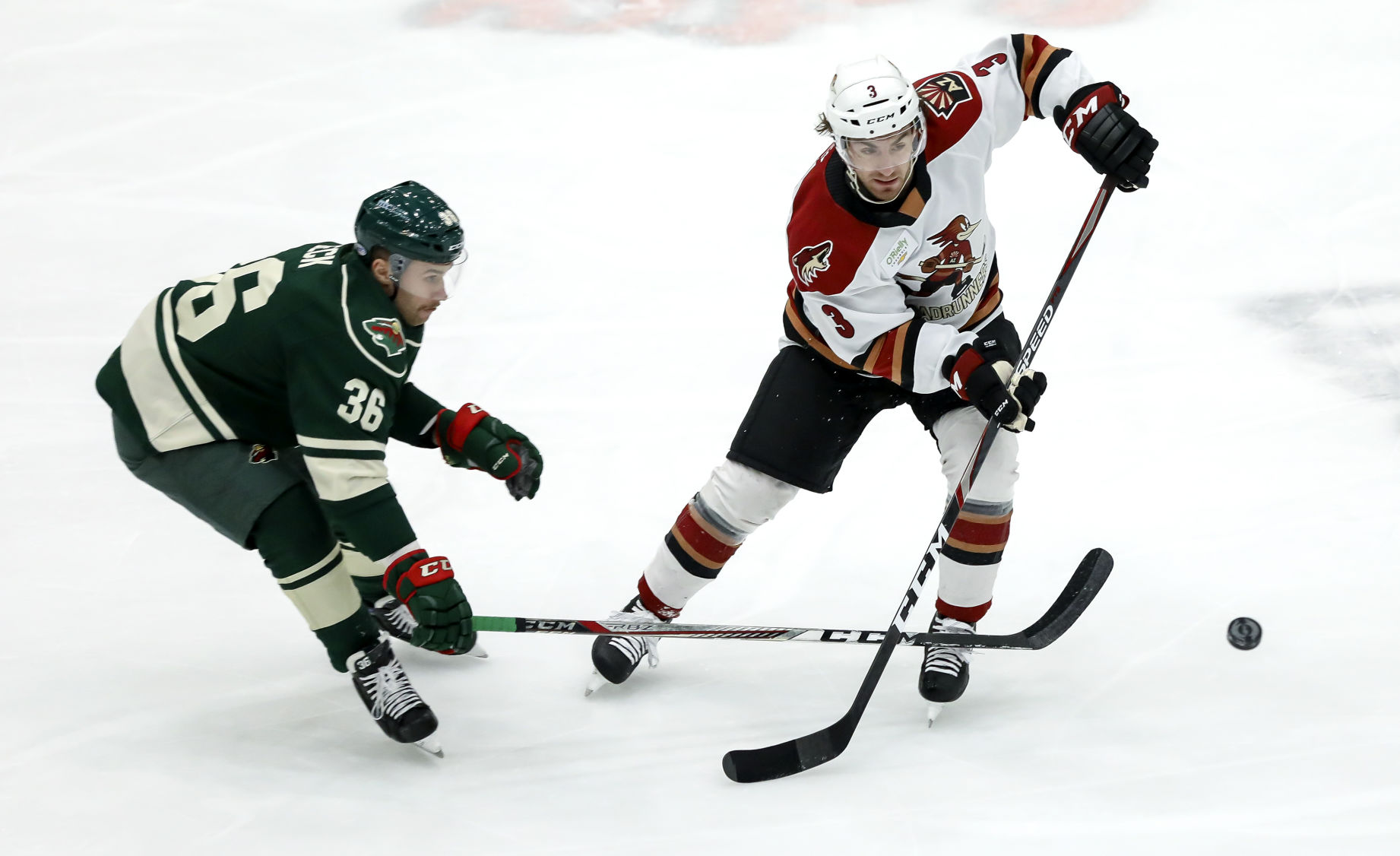 Tucson Roadrunners vs Iowa Wild